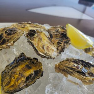 Unshucked Oysters: